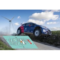 Peugeot 208 T16  Carlos Sainz - Rally Portugal  2017