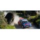 Peugeot 208 R5 -Carlos Sainz - Rally Portugal  2017
