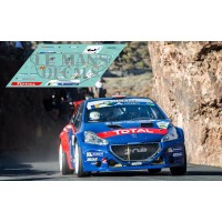 Peugeot 208 R5 - Rally ERC Canarias 2017 nº3