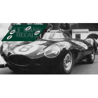 Jaguar D Type - Le Mans 1955 nº8