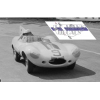 Jaguar D Type - Le Mans 1955 nº9