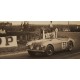 Austin Healey 100S - Le Mans 1953 nº33