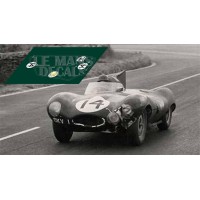 Jaguar D Type - Le Mans 1954 nº14