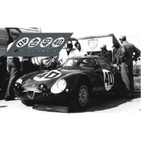 Alfa Romeo TZ - Le Mans 1964 nº40